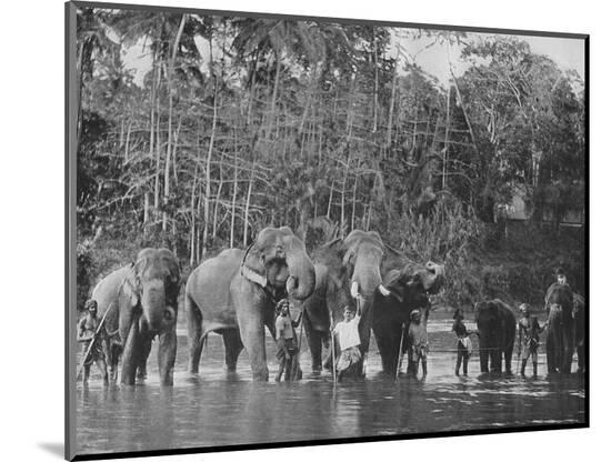 Photographic Print, , large