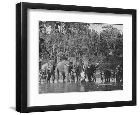 Premium Photographic Print, , large