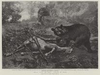 What Luck! Or, How I Killed My Bear-Alfred William Strutt-Stretched Canvas