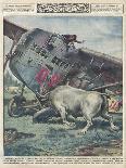 Crash and Bull-Alfredo Ortelli-Art Print