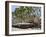 Alfresco Restaurants, Place De L'Horloge, Avignon, Provence, France, Europe-Peter Richardson-Framed Photographic Print