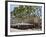 Alfresco Restaurants, Place De L'Horloge, Avignon, Provence, France, Europe-Peter Richardson-Framed Photographic Print