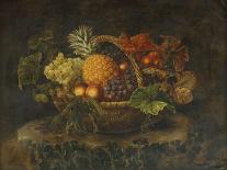 A Basket of Grapes, Peaches and a Pineapple on a Rock in a Landscape-Alfrida Vilhelmine Ludovica Baadsgaard-Framed Giclee Print