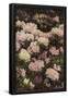 Essential Black