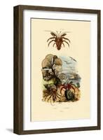 Alga, 1833-39-null-Framed Giclee Print