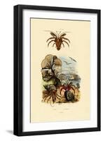 Alga, 1833-39-null-Framed Premium Giclee Print