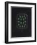 Alga-Philip Henry Gosse-Framed Premium Giclee Print