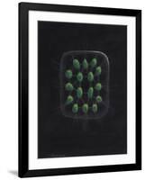 Alga-Philip Henry Gosse-Framed Giclee Print