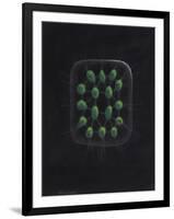 Alga-Philip Henry Gosse-Framed Giclee Print