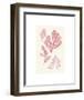 Algae 18-null-Framed Art Print