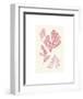 Algae 18-null-Framed Art Print