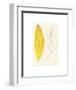 Algae 31-null-Framed Art Print