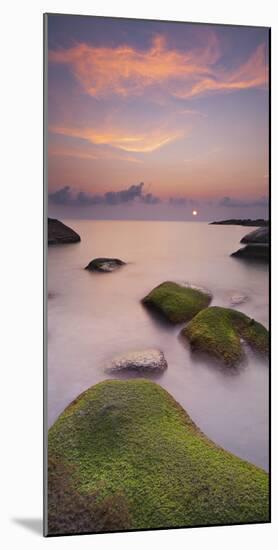 Algae Covered Rocks at the Thong Reng Beach, Sunrise, Koh Phangan Island, Thailand-Rainer Mirau-Mounted Photographic Print