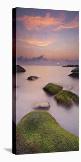 Algae Covered Rocks at the Thong Reng Beach, Sunrise, Koh Phangan Island, Thailand-Rainer Mirau-Stretched Canvas