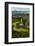 Algae Growing in a Pool on a Rock, Scarista Beach, South Harris, Outer Hebrides, Scotland, UK-Muñoz-Framed Photographic Print