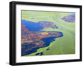 Algae on the Water, Indhar Lake, Udaipur, Rajasthan, India-Keren Su-Framed Premium Photographic Print