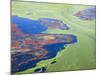 Algae on the Water, Indhar Lake, Udaipur, Rajasthan, India-Keren Su-Mounted Photographic Print