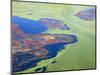 Algae on the Water, Indhar Lake, Udaipur, Rajasthan, India-Keren Su-Mounted Photographic Print