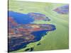 Algae on the Water, Indhar Lake, Udaipur, Rajasthan, India-Keren Su-Stretched Canvas