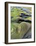 Algae-Tinted Sandstone Formations, Seal Rock Beach, Oregon, USA-Jaynes Gallery-Framed Photographic Print