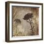 Algarve Silhouettes II-Tandi Venter-Framed Giclee Print