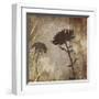 Algarve Silhouettes II-Tandi Venter-Framed Giclee Print