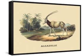 Algazelle-E.f. Noel-Framed Stretched Canvas