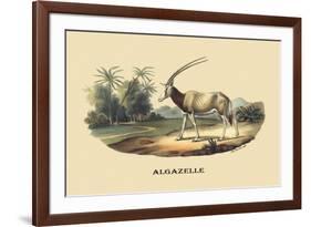 Algazelle-E.f. Noel-Framed Premium Giclee Print