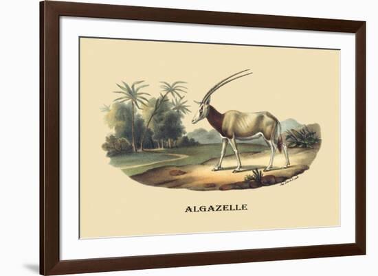 Algazelle-E.f. Noel-Framed Art Print