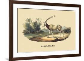 Algazelle-E.f. Noel-Framed Art Print