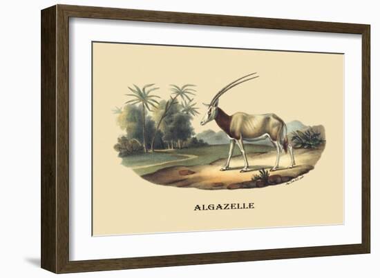 Algazelle-E.f. Noel-Framed Art Print