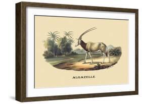 Algazelle-E.f. Noel-Framed Art Print