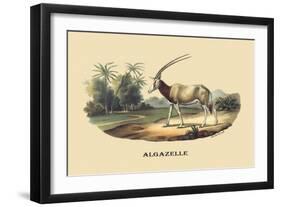 Algazelle-E.f. Noel-Framed Art Print