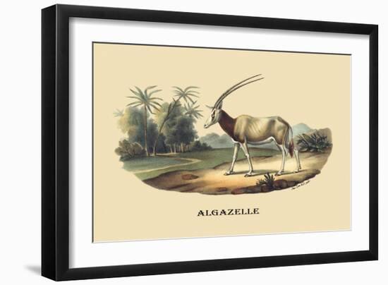 Algazelle-E.f. Noel-Framed Art Print