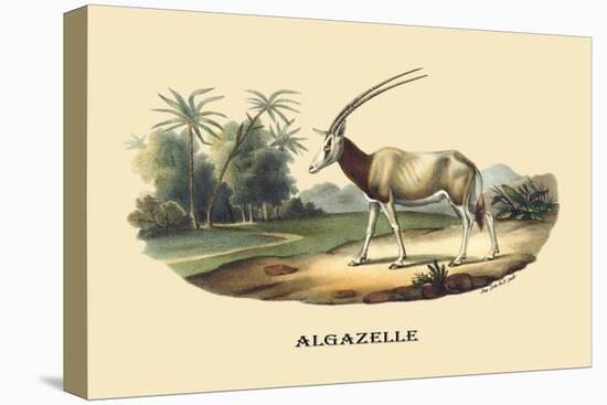 Algazelle-E.f. Noel-Stretched Canvas
