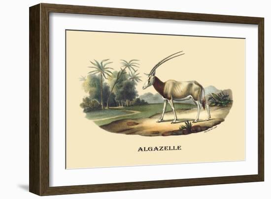 Algazelle-E.f. Noel-Framed Art Print