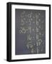 Algebra Equation on Blackboard-null-Framed Photographic Print