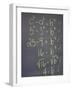 Algebra Equation on Blackboard-null-Framed Photographic Print