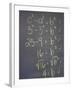 Algebra Equation on Blackboard-null-Framed Photographic Print