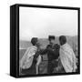 Algeria, 1957-null-Framed Stretched Canvas