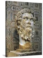 Algeria, Djemila, Colossal Head of the Emperor Septimius Severus-null-Stretched Canvas