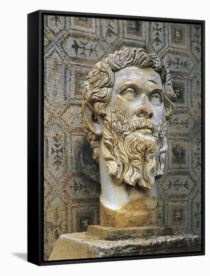 Algeria, Djemila, Colossal Head of the Emperor Septimius Severus-null-Framed Stretched Canvas