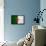 Algeria Flag Design with Wood Patterning - Flags of the World Series-Philippe Hugonnard-Framed Stretched Canvas displayed on a wall