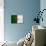 Algeria Flag Design with Wood Patterning - Flags of the World Series-Philippe Hugonnard-Art Print displayed on a wall