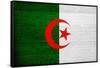 Algeria Flag Design with Wood Patterning - Flags of the World Series-Philippe Hugonnard-Framed Stretched Canvas