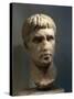 Algeria, Head of the Roman Emperor Augustus-null-Stretched Canvas