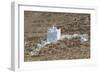 Algeria, M'Zab Valley, Ghardaia Surroundings, Metili Chaamba, Mosque and Cemetery-null-Framed Giclee Print