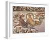 Algeria, Mosaic Work Depicting the Nereids from the Procurator Villa, Discovered in 1870-null-Framed Giclee Print