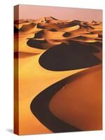 Algeria, Sahara, Great Western Erg, Oasis-Thonig-Stretched Canvas