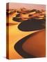 Algeria, Sahara, Great Western Erg, Oasis-Thonig-Stretched Canvas